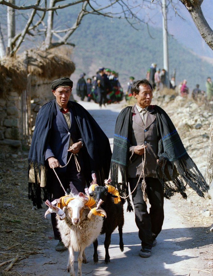 使其成為中華民族寶貴的財富,而四川涼山彝族自治州是中國最大