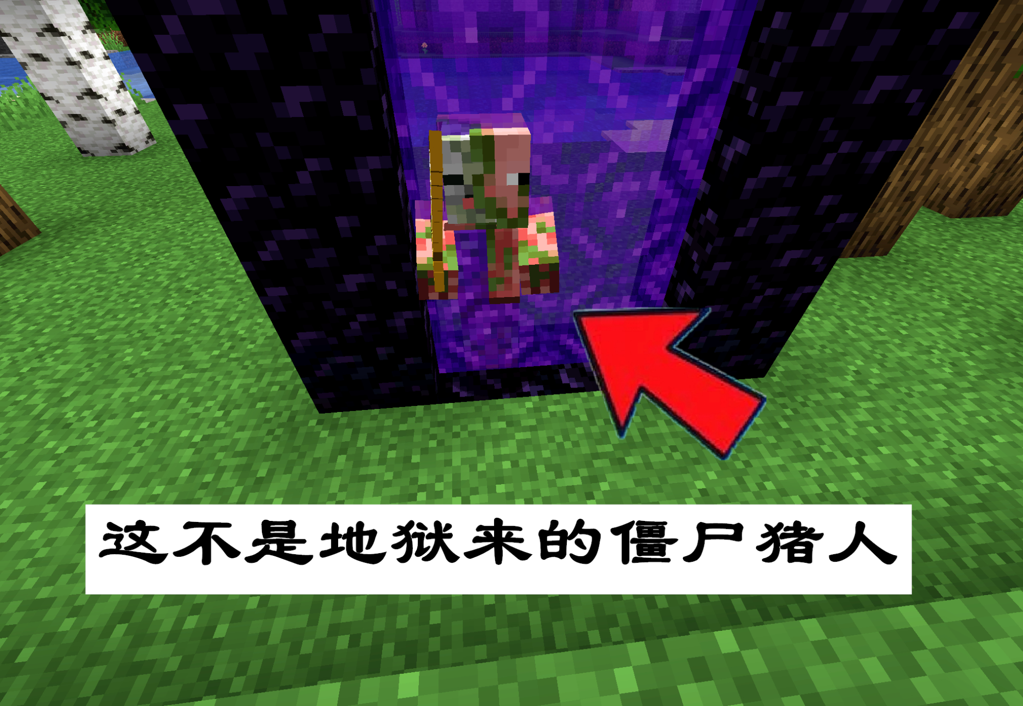 我的世界:地狱也有一颗太阳?关于下界,你可能不知道的16个事实