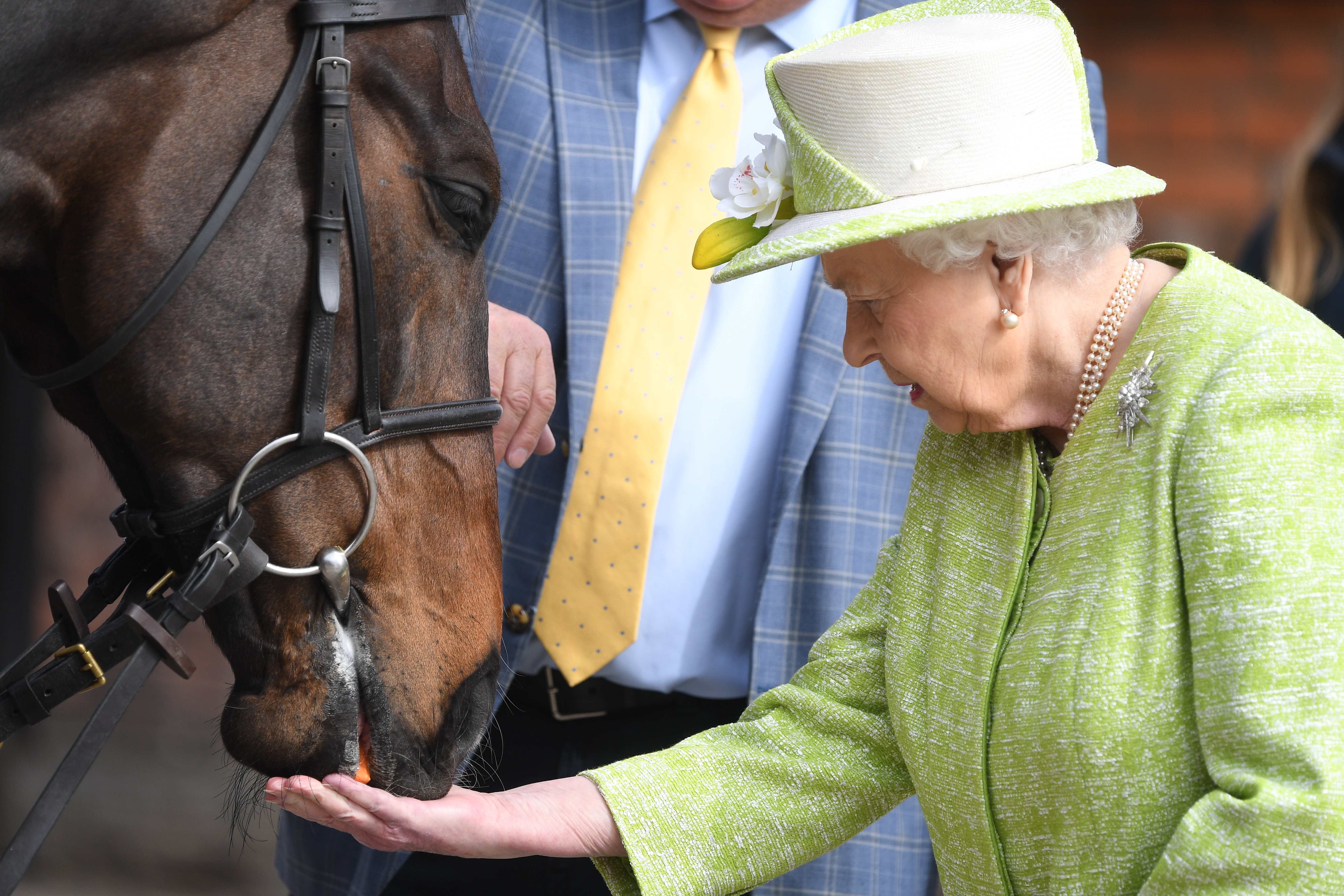 英女王伊丽莎白二世造访马场 亲手给赛马喂胡萝卜