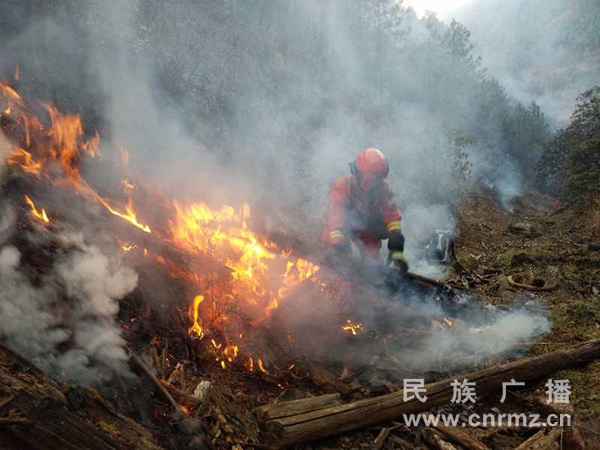 云南丽江宁蒗森林火灾被全线封控