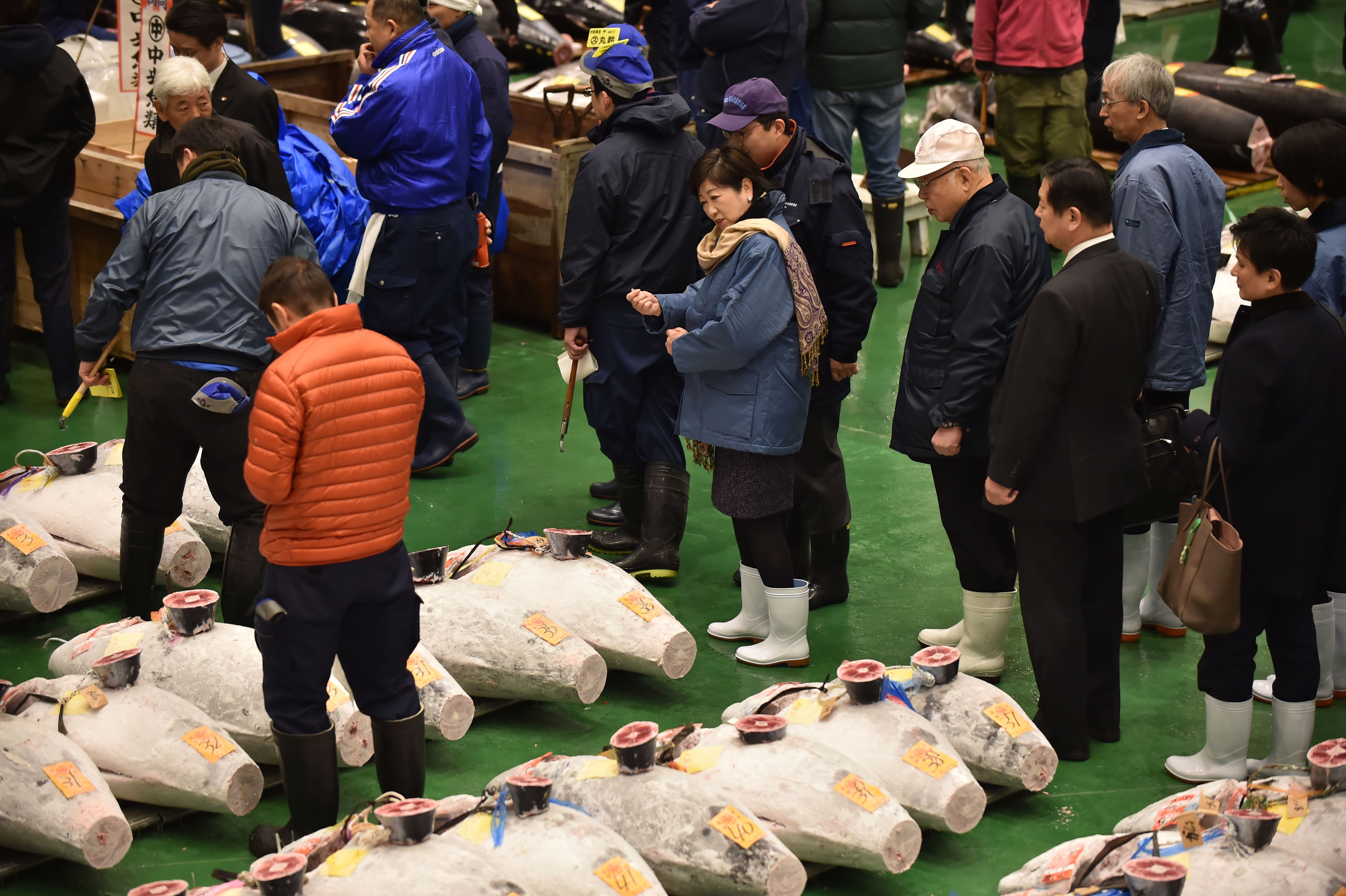 东京丰洲市场新年开市(36)