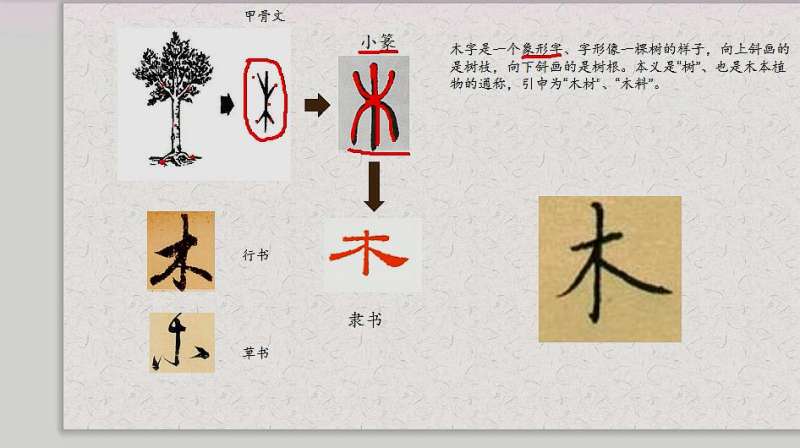 木字的演变,看看古人是怎么造字的,文化历史,文化艺术,好看视频