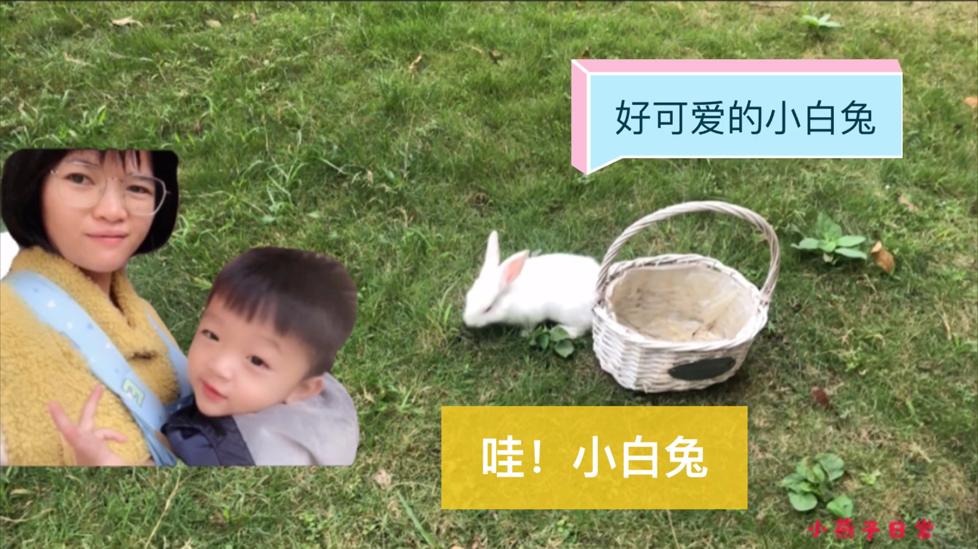 小燕子带小鱼鱼去市场买水果,半路杀出个小白兔,太可爱了