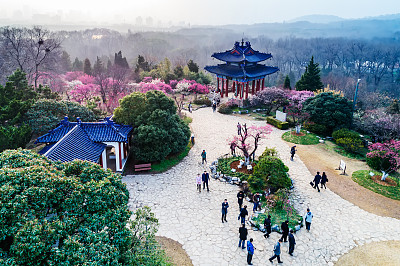 南京梅花山美景,高空俯瞰美不胜收,真想去当地看一看啊