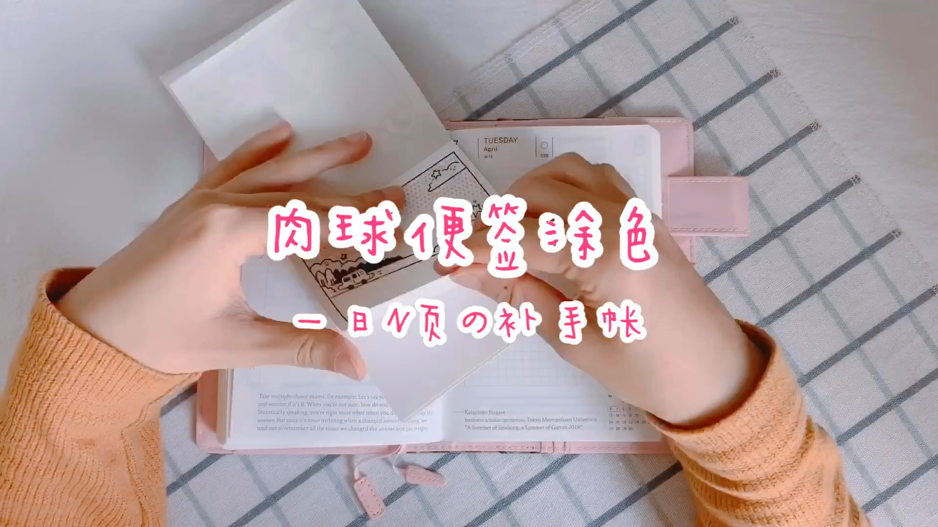 日常更帐104:肉球便签大消耗!补一日10页手帐!