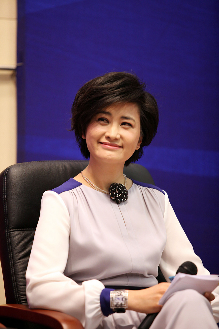 在2000年,凤凰卫视的知名主持人吴小莉为了实现父亲的心愿,前往浙江