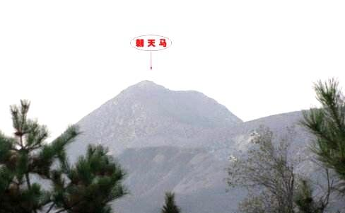 天马贵砂,催官催甲!