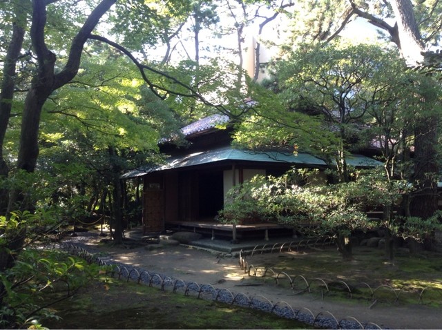 今川氏真正的正室早川殿是怎样的人,关于孩子和晚年的解说