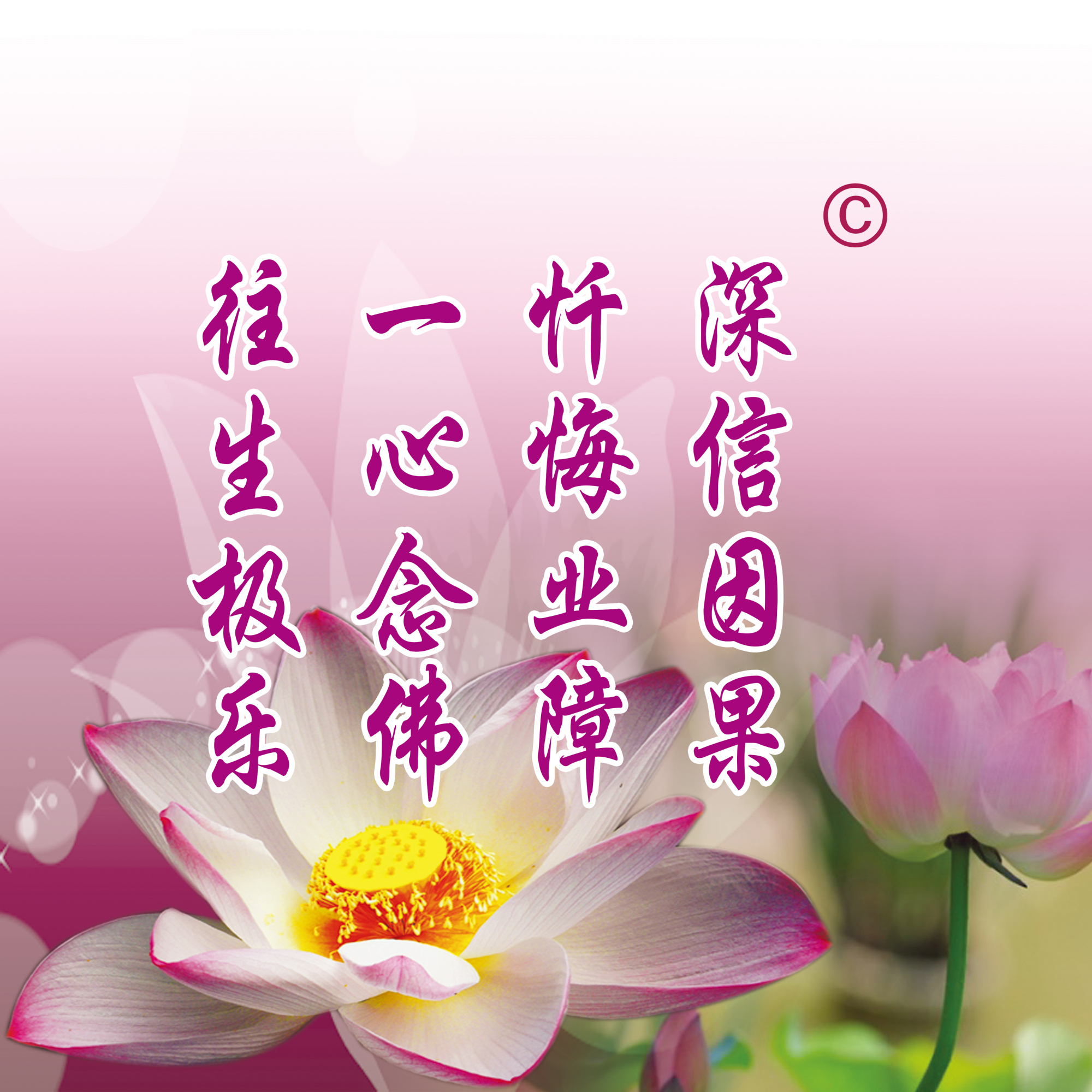 讲堂菩提园 人间极乐歌
