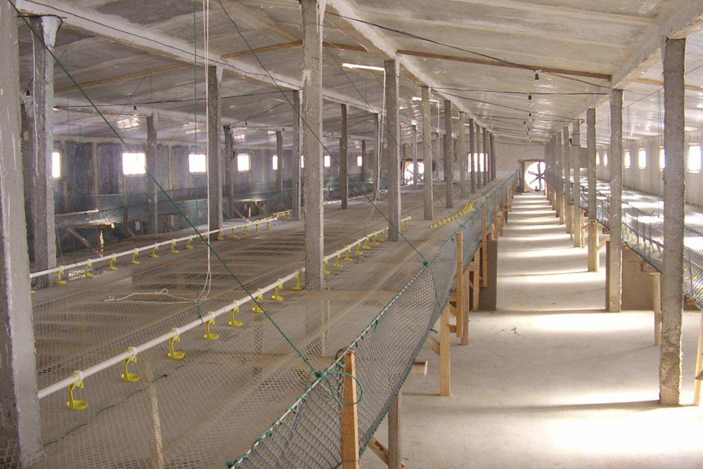 水线- 热门商品专区