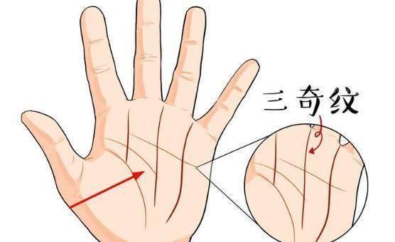 一生富贵的5大手纹,无论男女,不动产多,婚姻和谐,一世风光