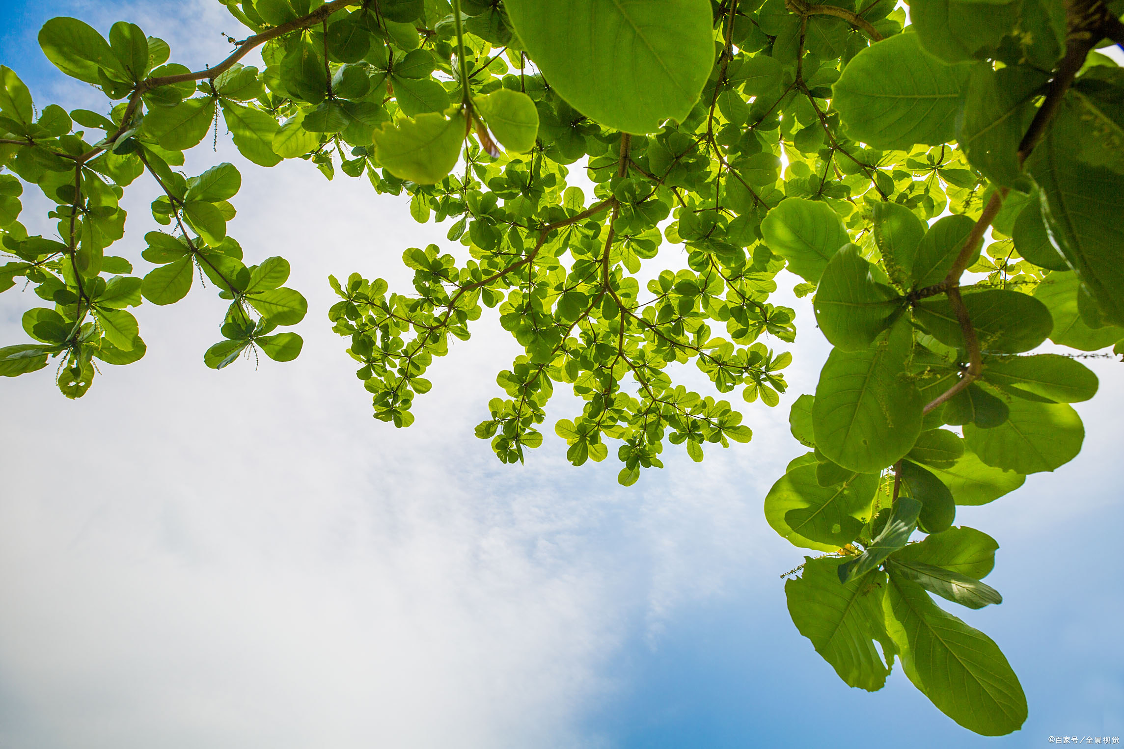 春天来了,生机盎然!