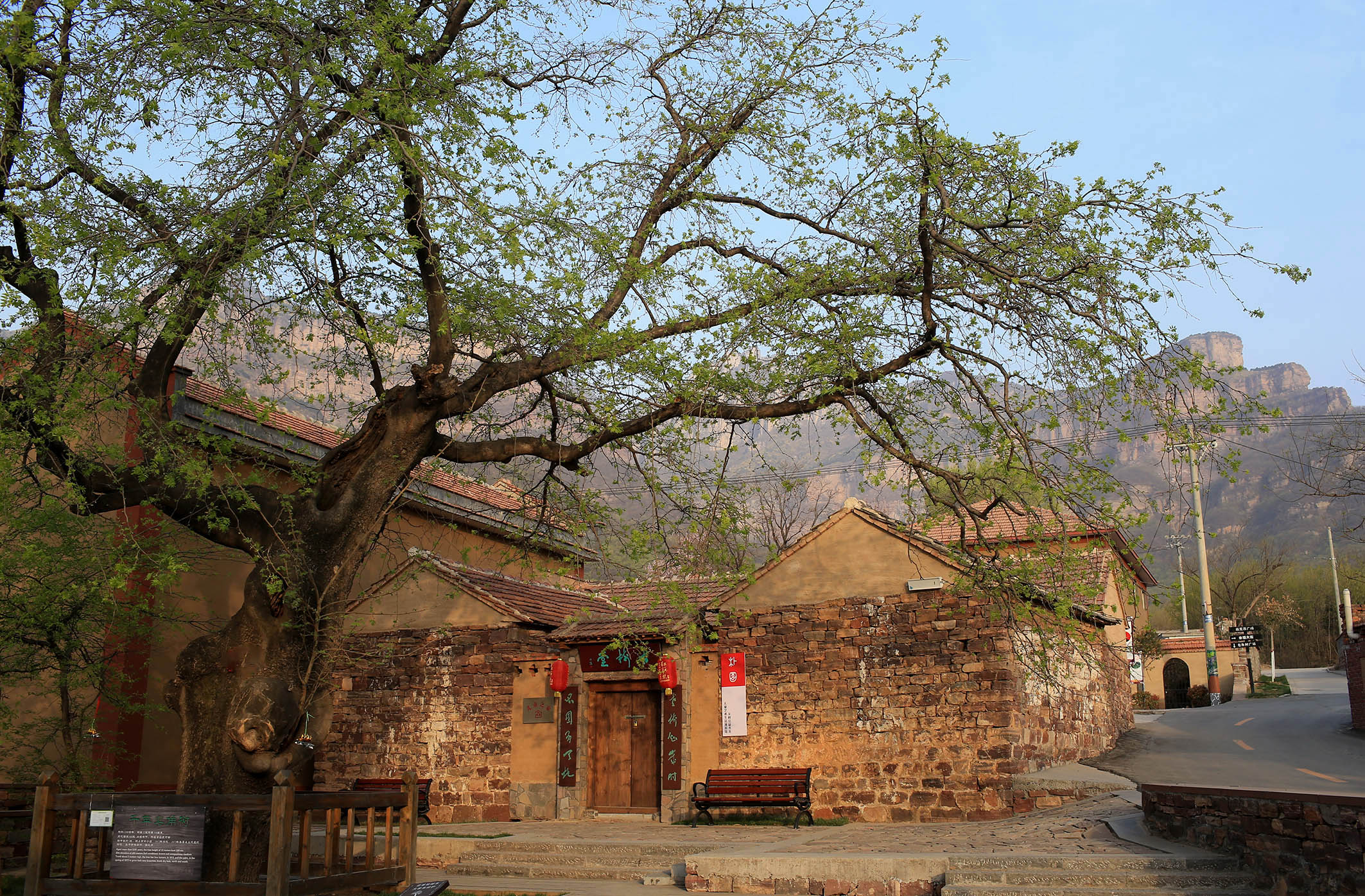 林州庙荒村图片