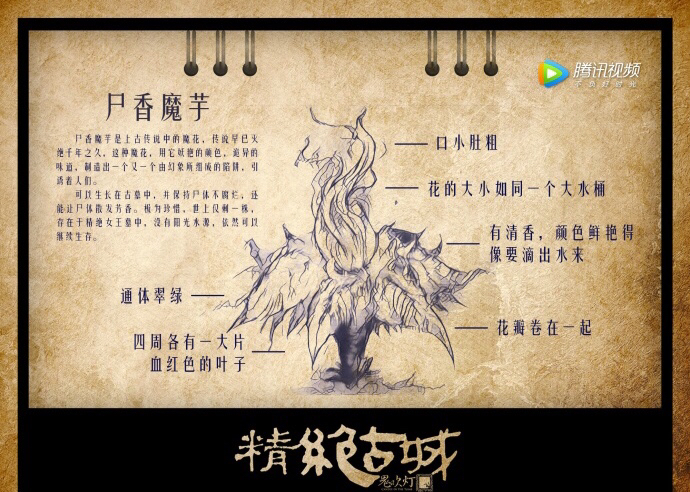 鬼吹灯之精绝古城中的尸香魔芋