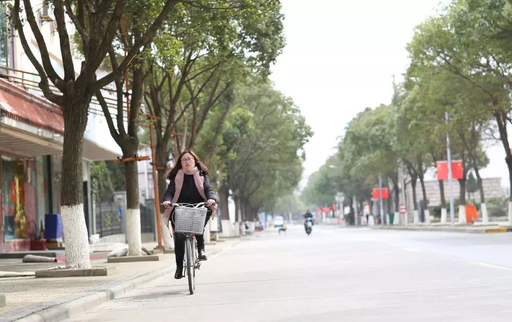 "跑腿局长"倪芳芬:洋山人的好闺女