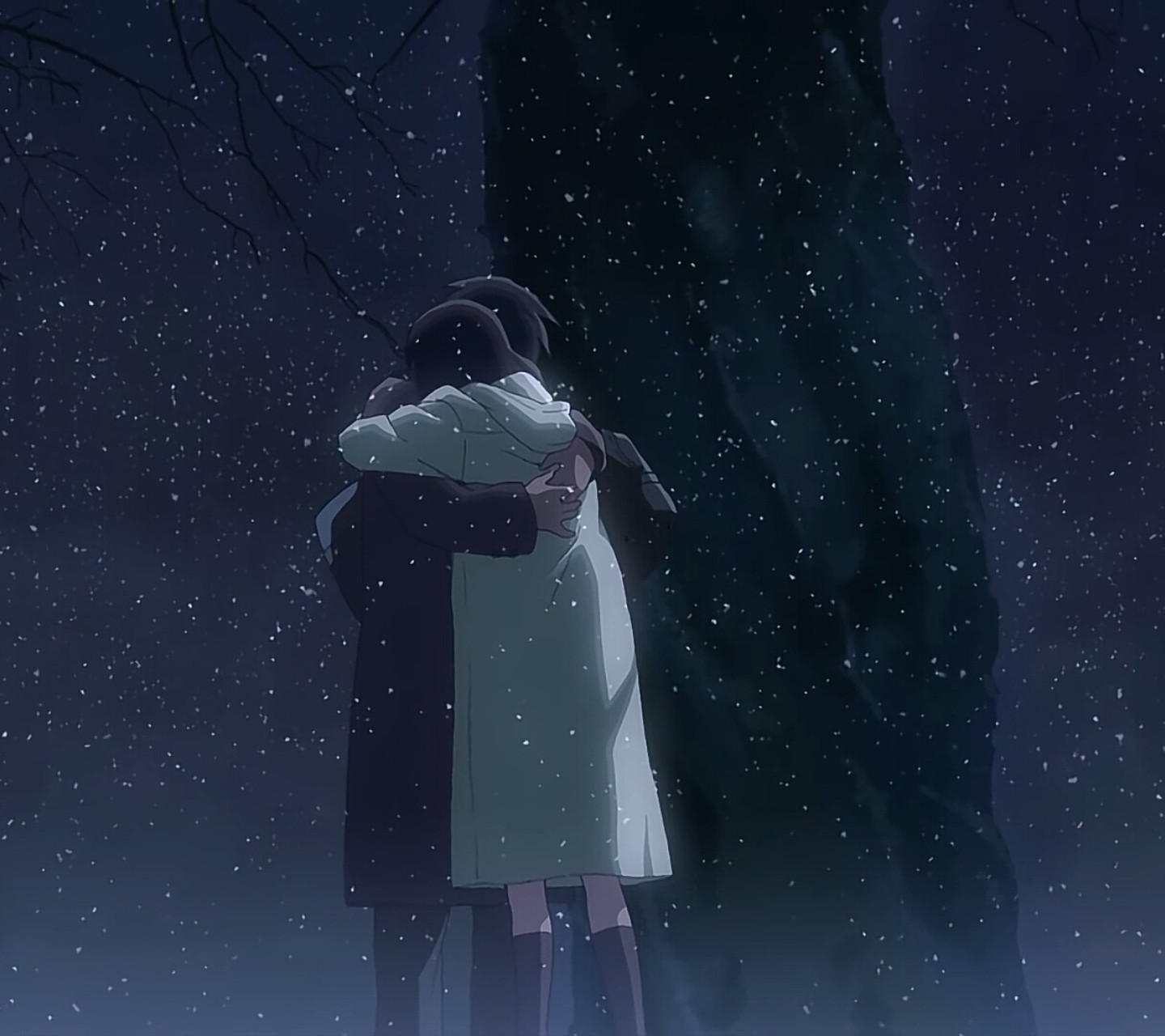 秒速五厘米——我曾在樱花飘落的季节,等你