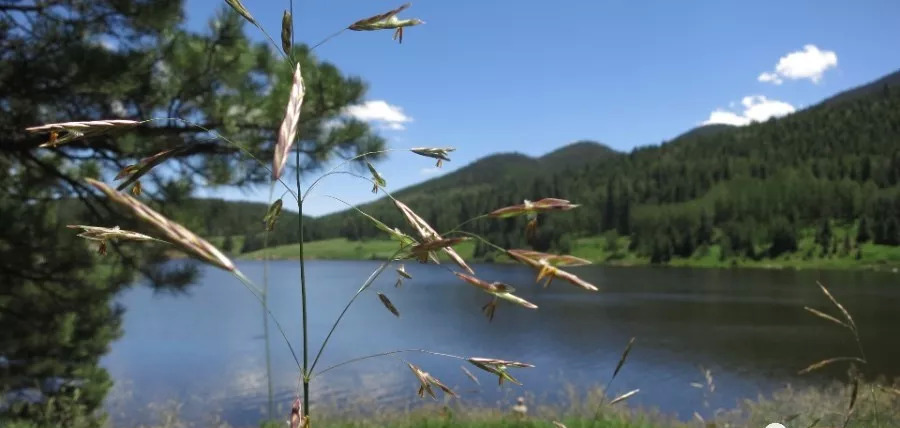 从手机、电视到空调、照明,飞利浦正在成为家电业的恒源祥!-家电圈官网