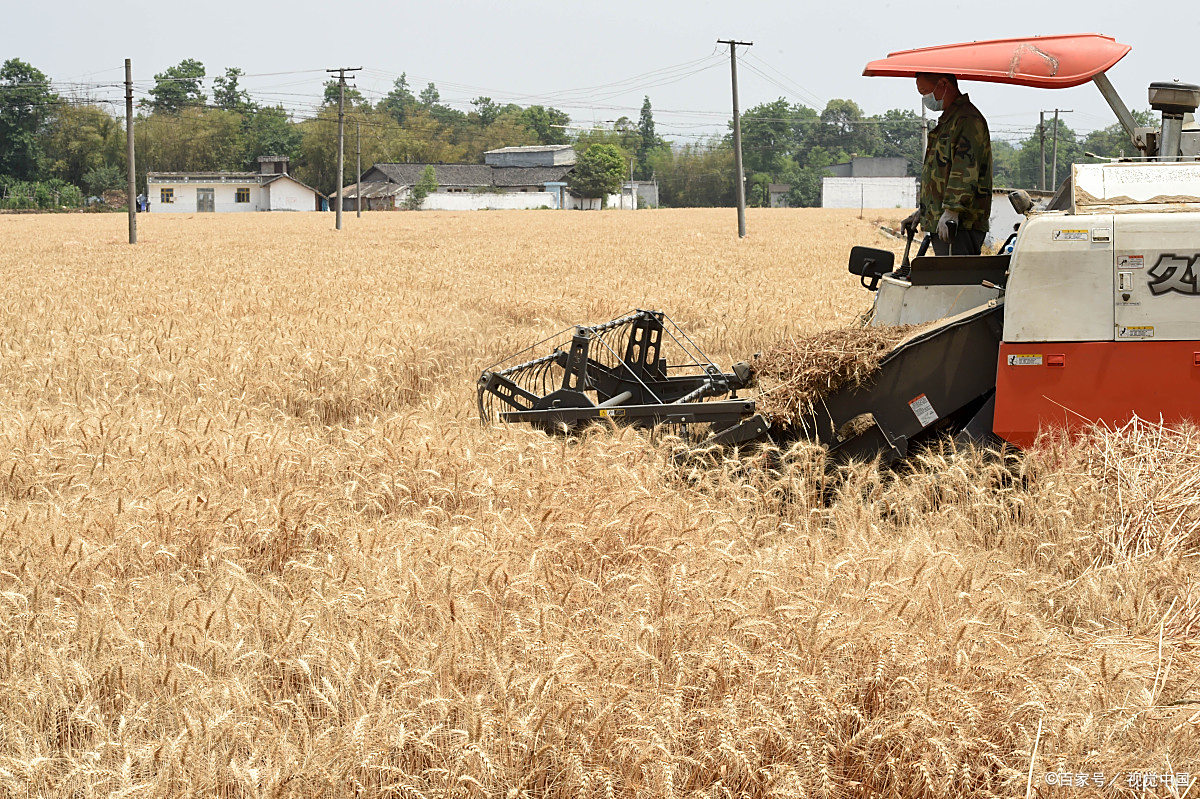 收割机庄稼正确选项为 - 2020年最新商品信息聚合专区 - 百度爱采购