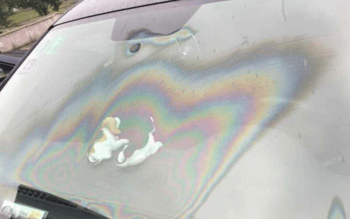 去除前挡风玻璃油膜 - 2020年最新商品信息聚合专区 - 百度爱采购