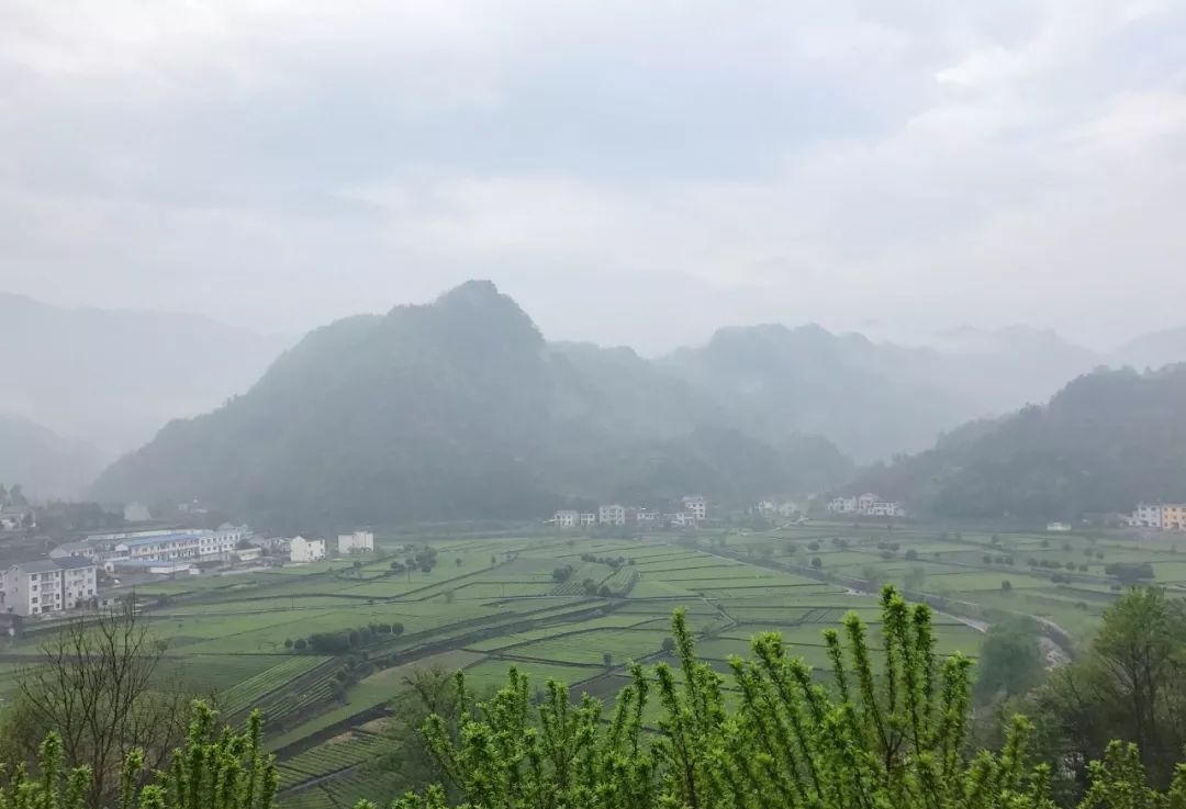 全福河村游记——山岚叠嶂,生如醉梦,雾幻一场