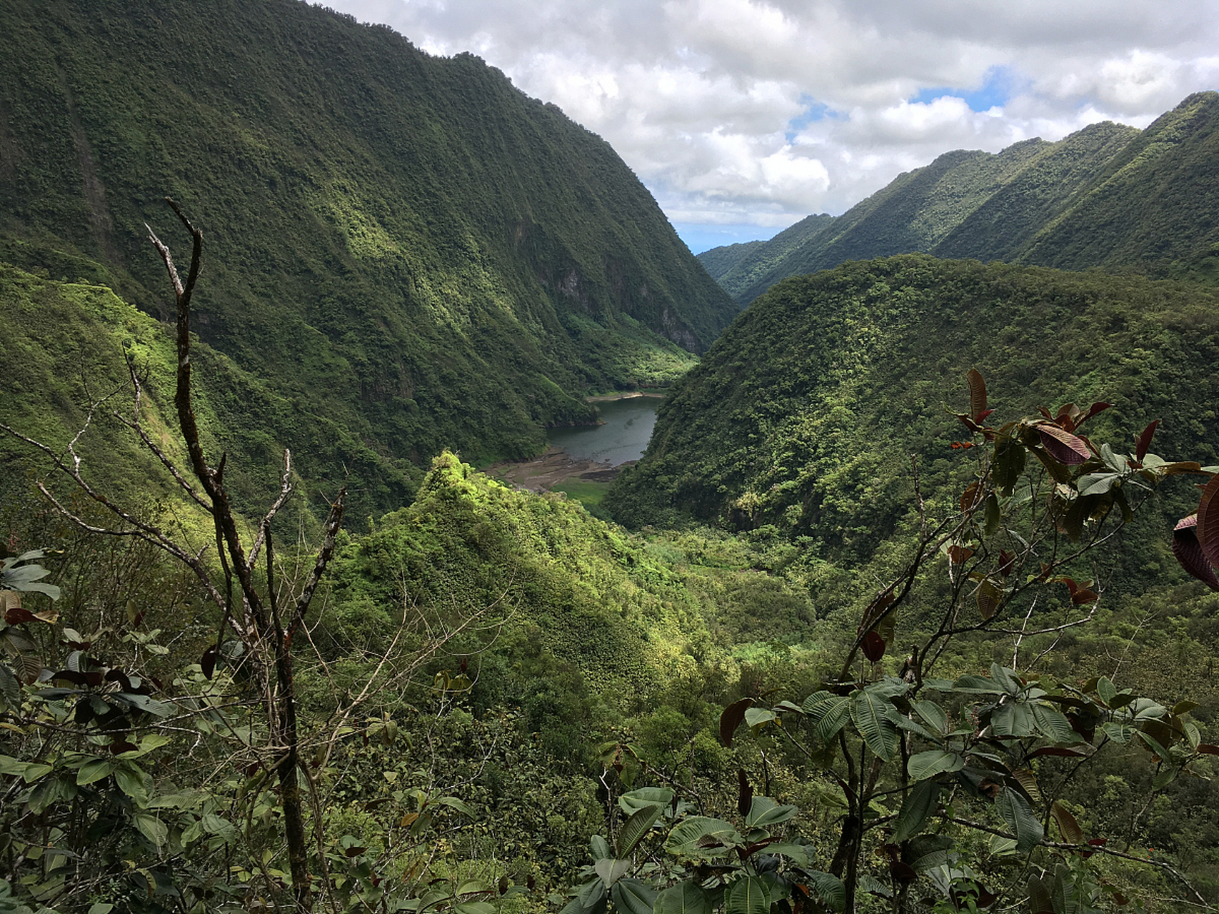 城口大巴山国家级自然保护区:峰峦叠嶂间的生物王国  大巴山,这个充满