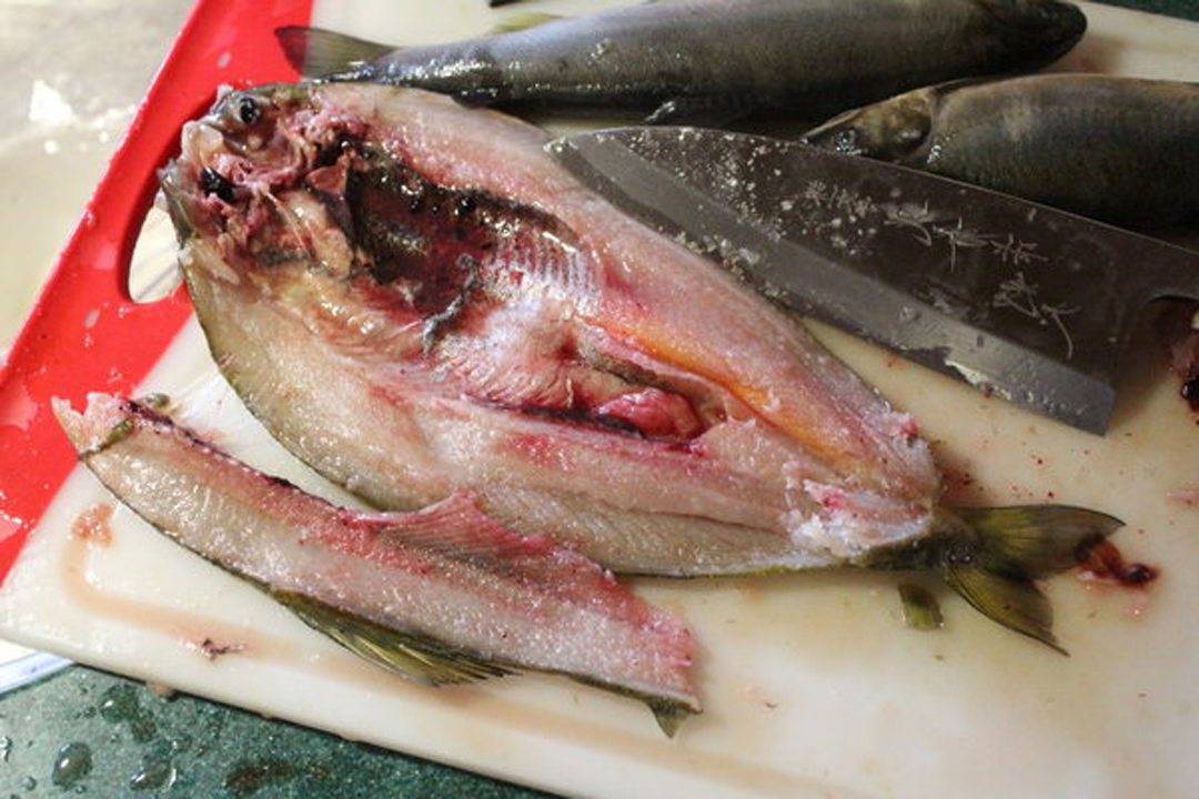 step3.将两边排刺(肋骨)切除.这样几乎就没有什么鱼刺了.