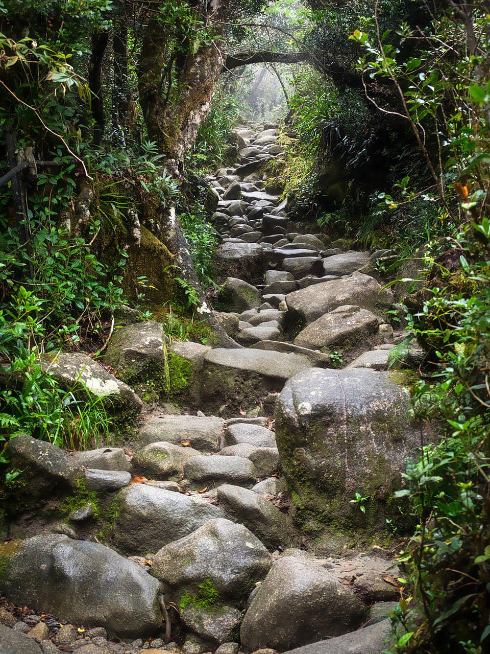 胥岭古道图片