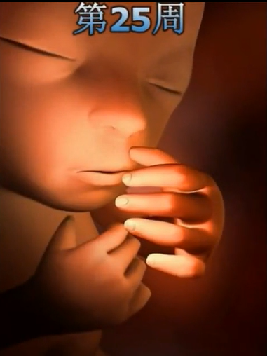 这些最真实的宝宝胎动图你都见过吗?看完不得不震撼生命的伟大