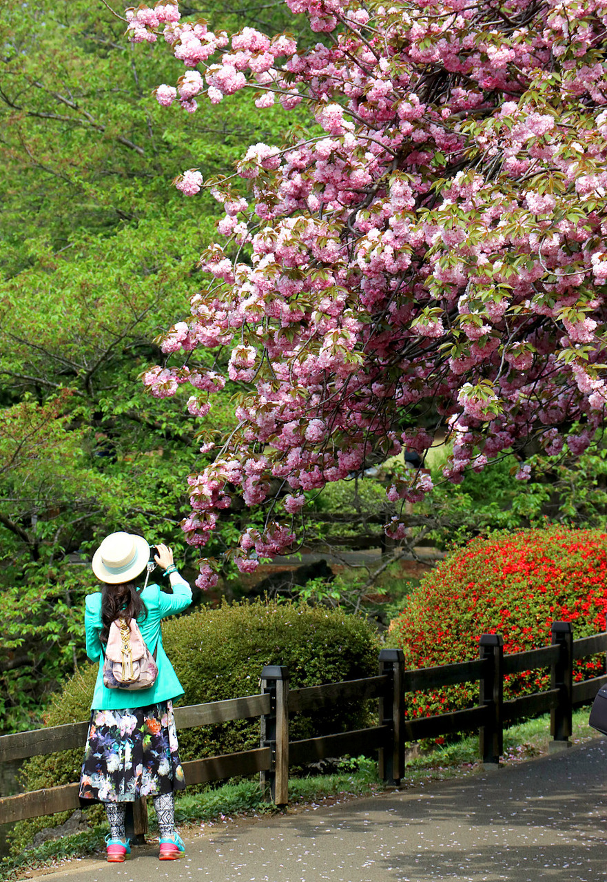 come out and play. 出来玩吧.