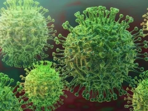 新冠肺炎未消,汉坦病毒又现.疾病防护意识莫放松