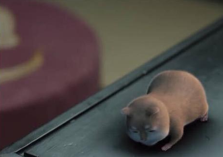 《扶摇》元宝并非天机神鼠那么简单,它的真实身份竟然是