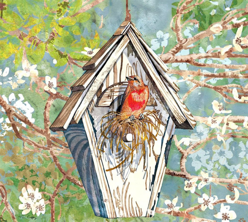 插画:艺术家tim coffey作品-漂亮的鸟屋