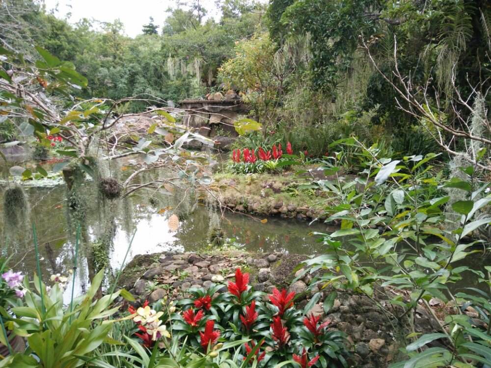兴隆热带花园,海南天涯热带雨林博物馆