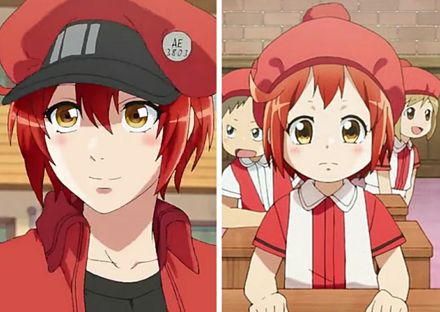 工作细胞:细胞小时候和现在对比,红血球呆萌,血小板赢了!