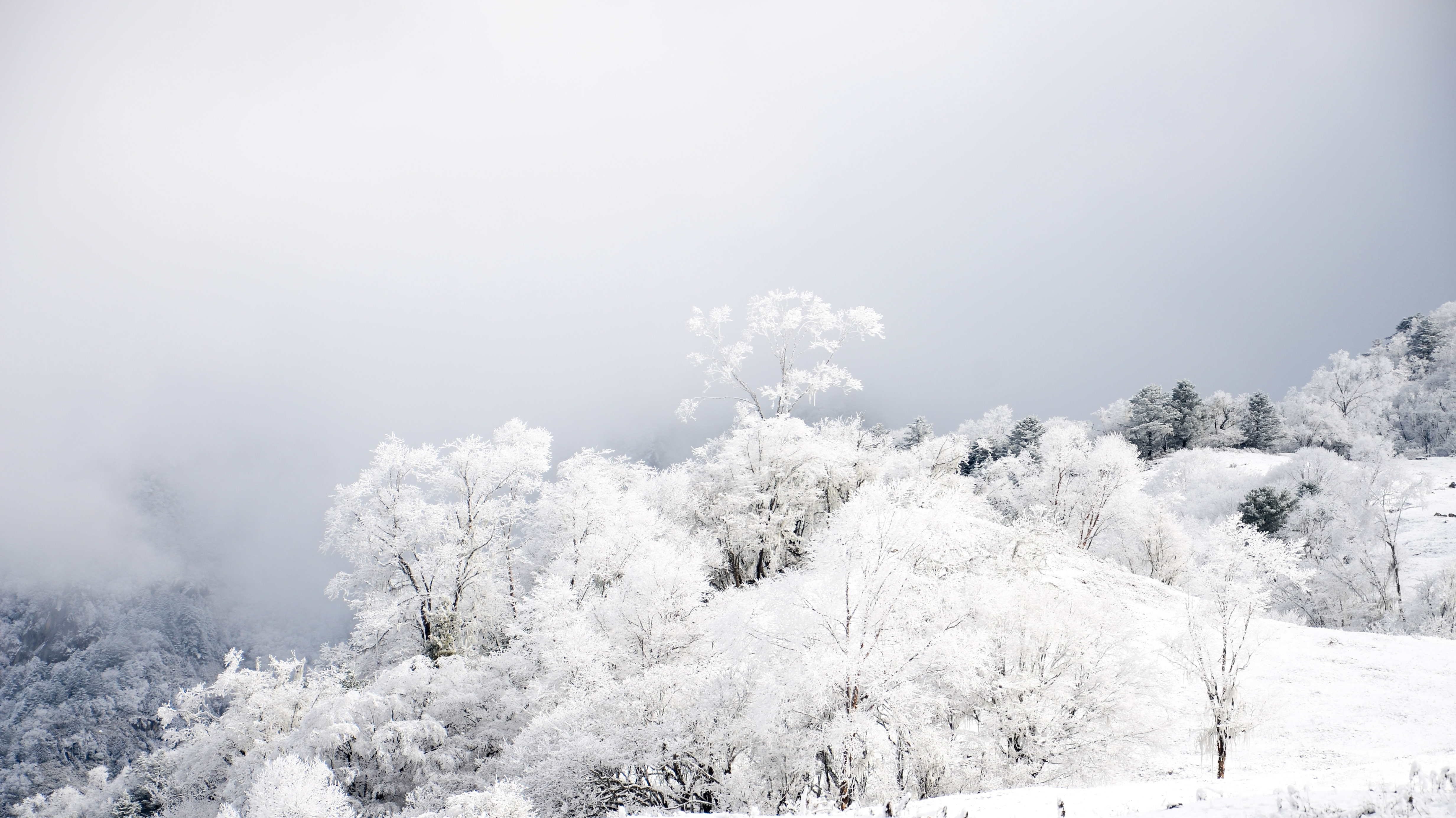 苍茫大地白雪皑皑图片