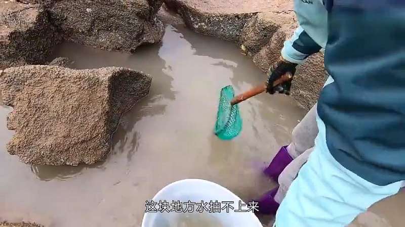 美女赶海抽水坑意外发现了条脚掌宽的生猛大货还差点被咬了