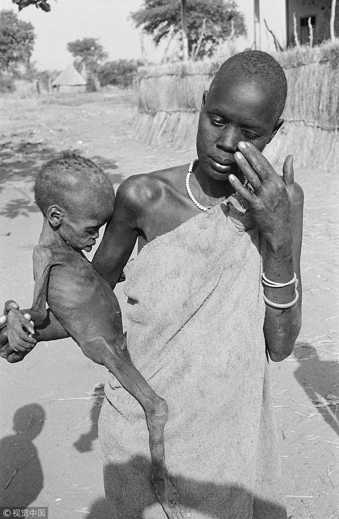 饥饿的苏丹凯文卡特图片