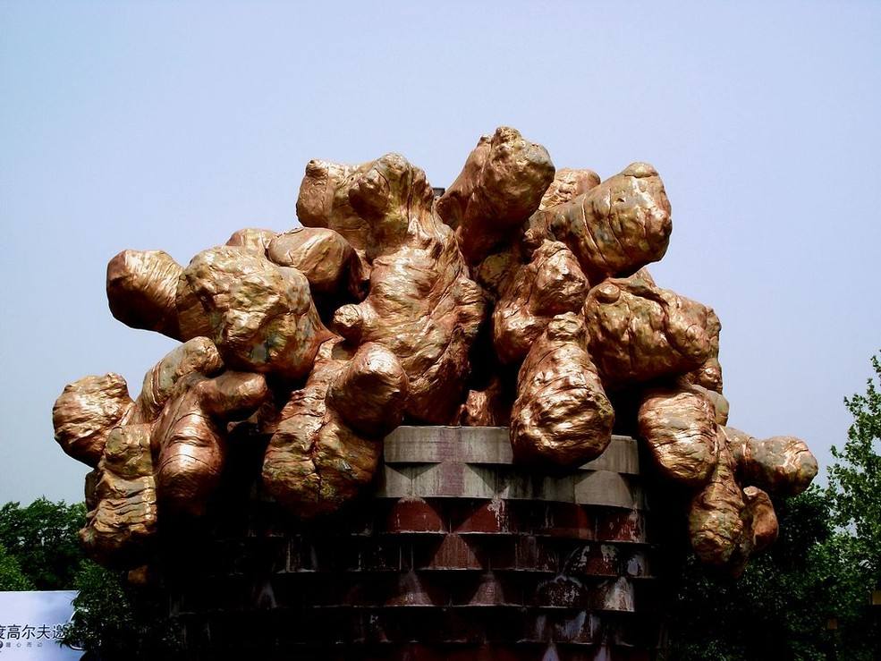 《宰相刘罗锅》里的经典桥段之一桶姜山