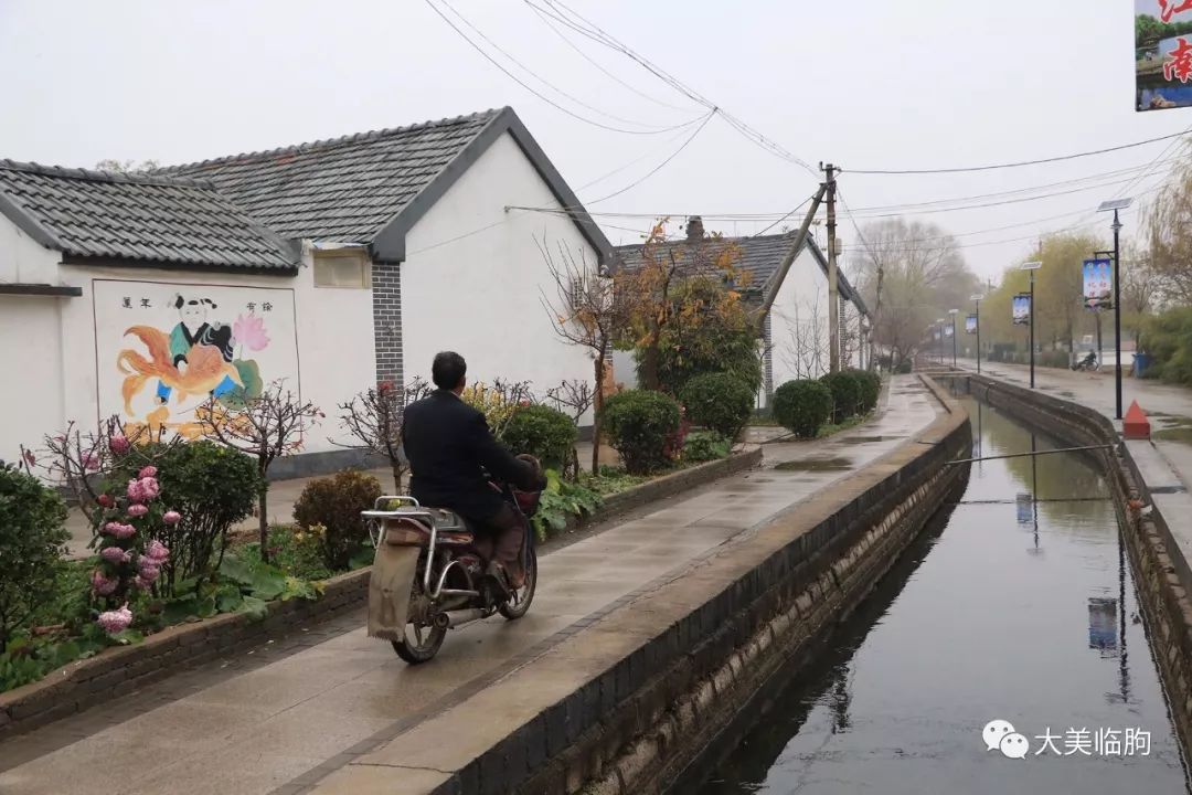 走进临朐县冶源镇冶北村