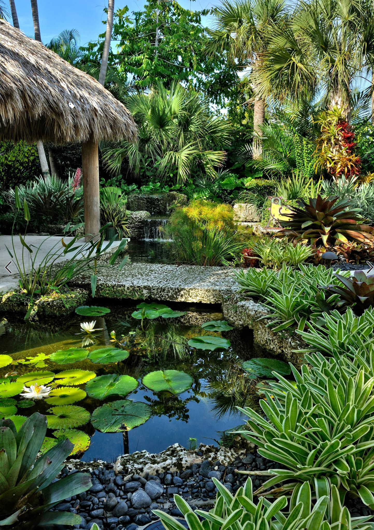 被植物包围的鱼池,绿植之影倒映在水中的样子,摇曳多姿,美轮美奂,让