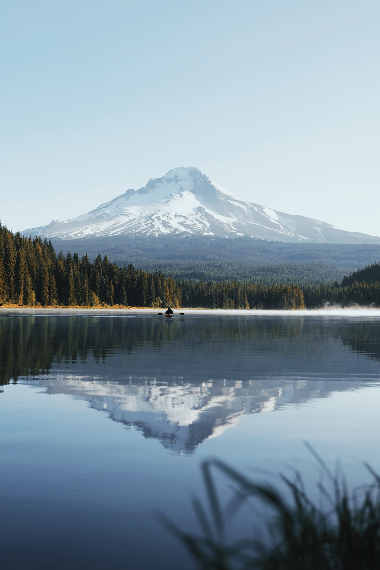 什么样的照片会让你情绪激动和舒缓?是什么原因?