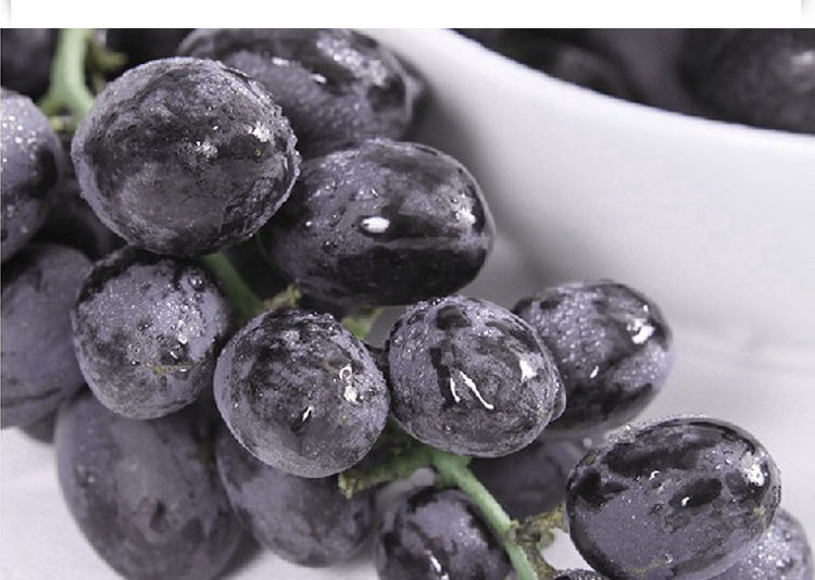 葡萄处处好,女生都喜欢,但是葡萄的种类和效果你们知道吗?