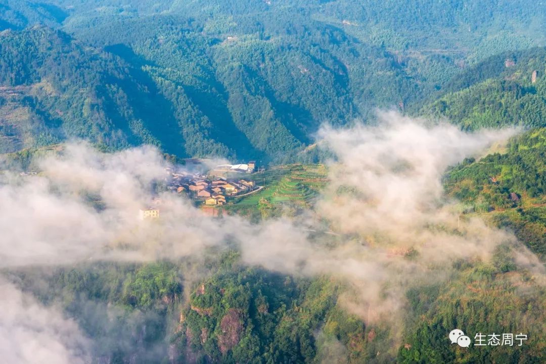 我是大周宁,逍遥又自在,天然空调城,全省最凉快!