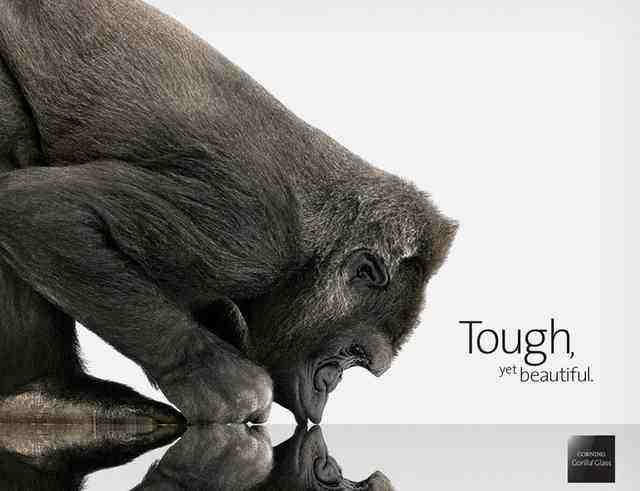 全球70亿设备使用它 康宁大猩猩不只是一块玻璃