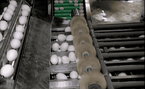 我曾经吃过这么多鸡蛋,直到看见剥壳机才是唯一的答案