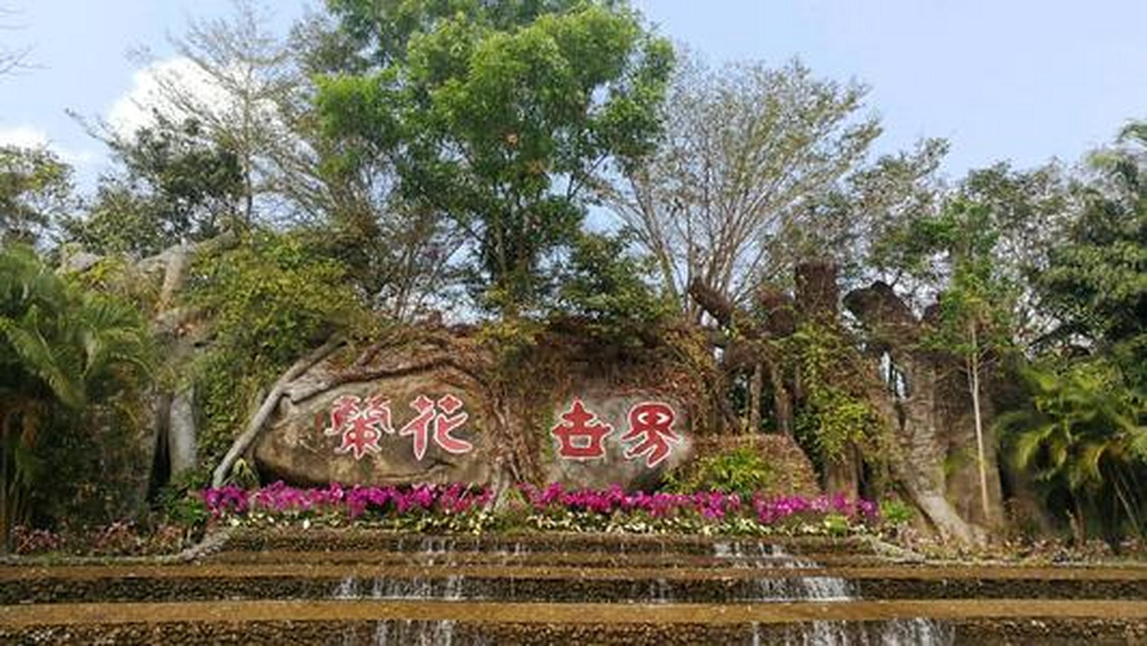 遇见美好##遇见好风景#三亚兰花世界文化旅游区:兰花世界是全球最大