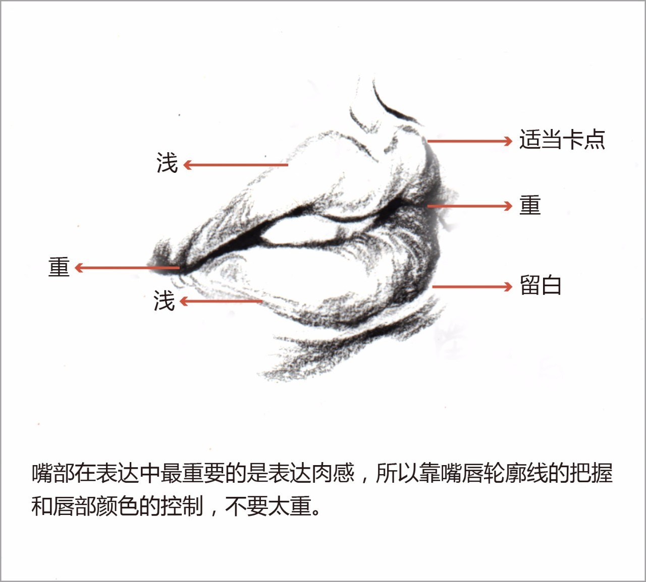 速写:嘴巴和耳朵怎么画?