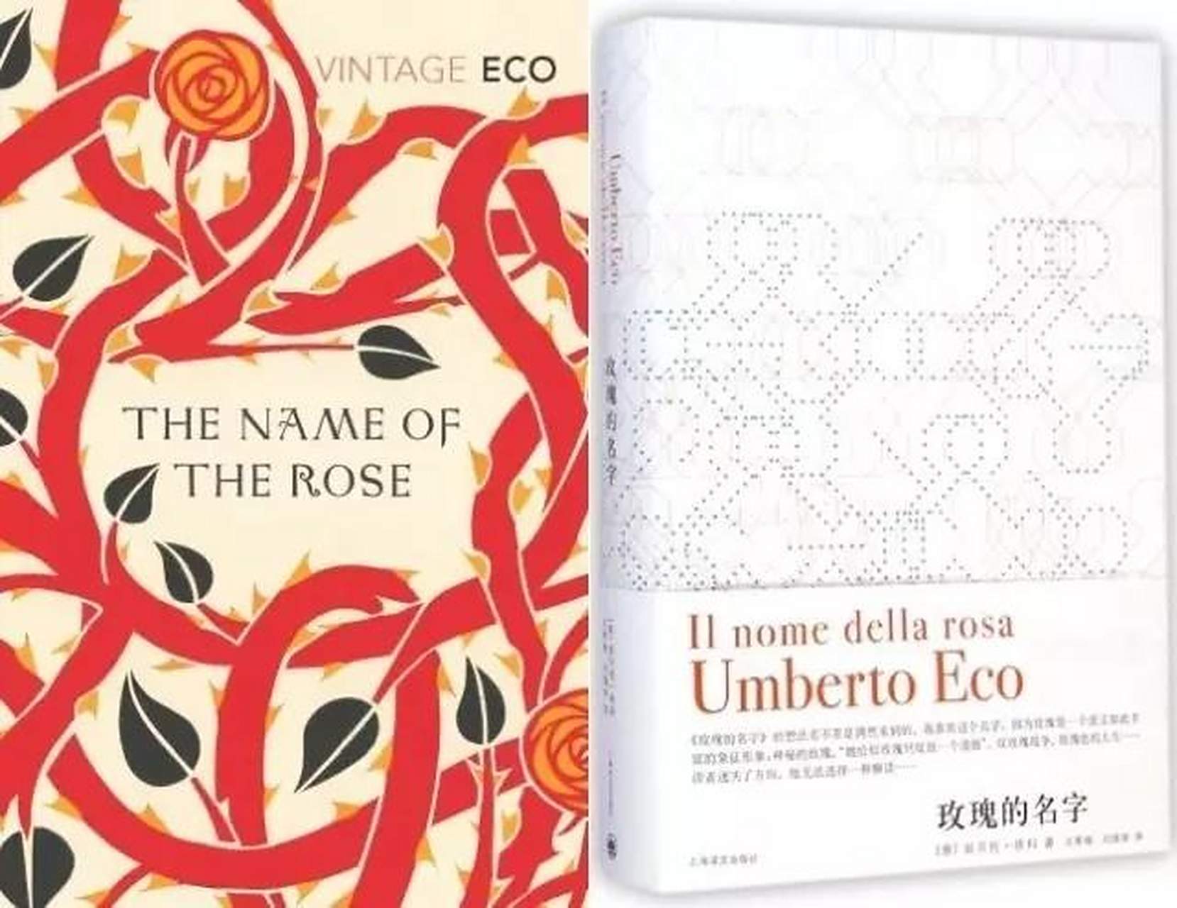 《玫瑰的名字》是一部特殊的侦探小说.