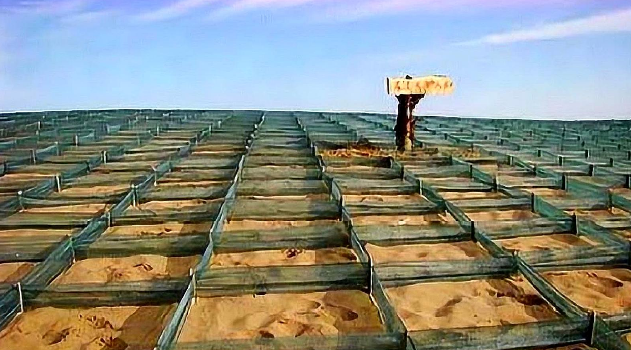 立体固沙机问世,沙漠的救星?