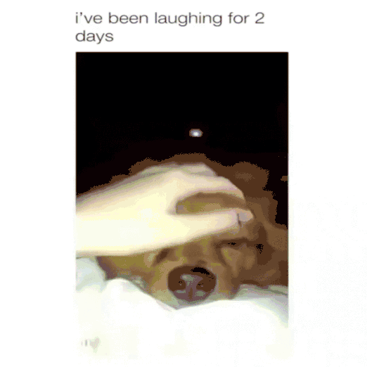 来源:instagram 我觉得我的脸仿佛出自毕加索的笔下～ ps:下图高能